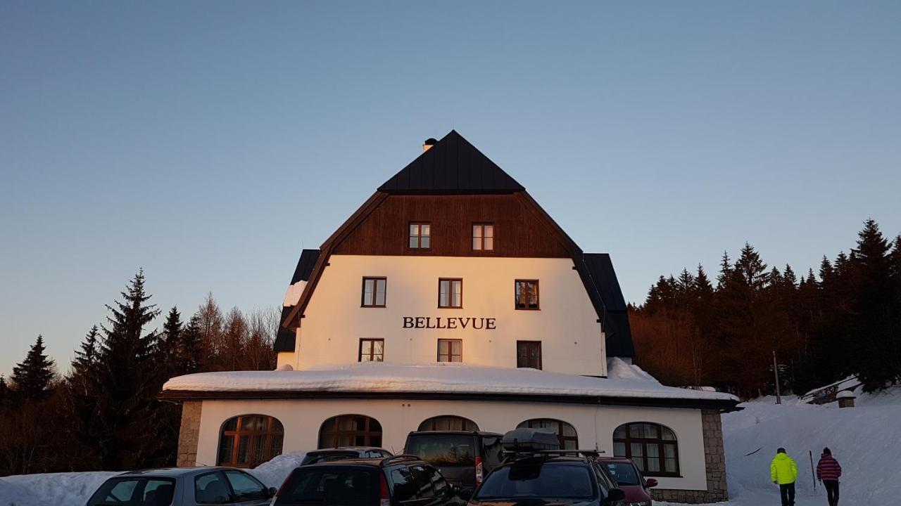 Luxusni Mezonetovy Apartman Bellevue - Novy Бенецко Екстер'єр фото