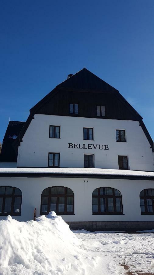 Luxusni Mezonetovy Apartman Bellevue - Novy Бенецко Екстер'єр фото